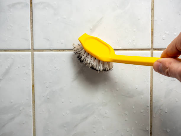 Mold Removal and Inspection in Rainbow, CA
