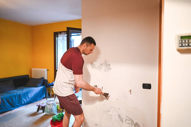 Reliable Rainbow, CA Mold Removal Solutions