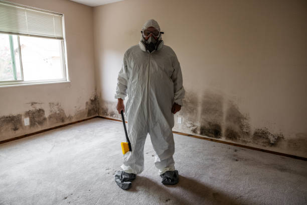 Crawl Space Mold Removal in Rainbow, CA